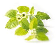 natürliche Mittel zum besseren Schlafen